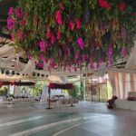 WhatsApp Image 2025-01-09 at 9.37.42 a.m.